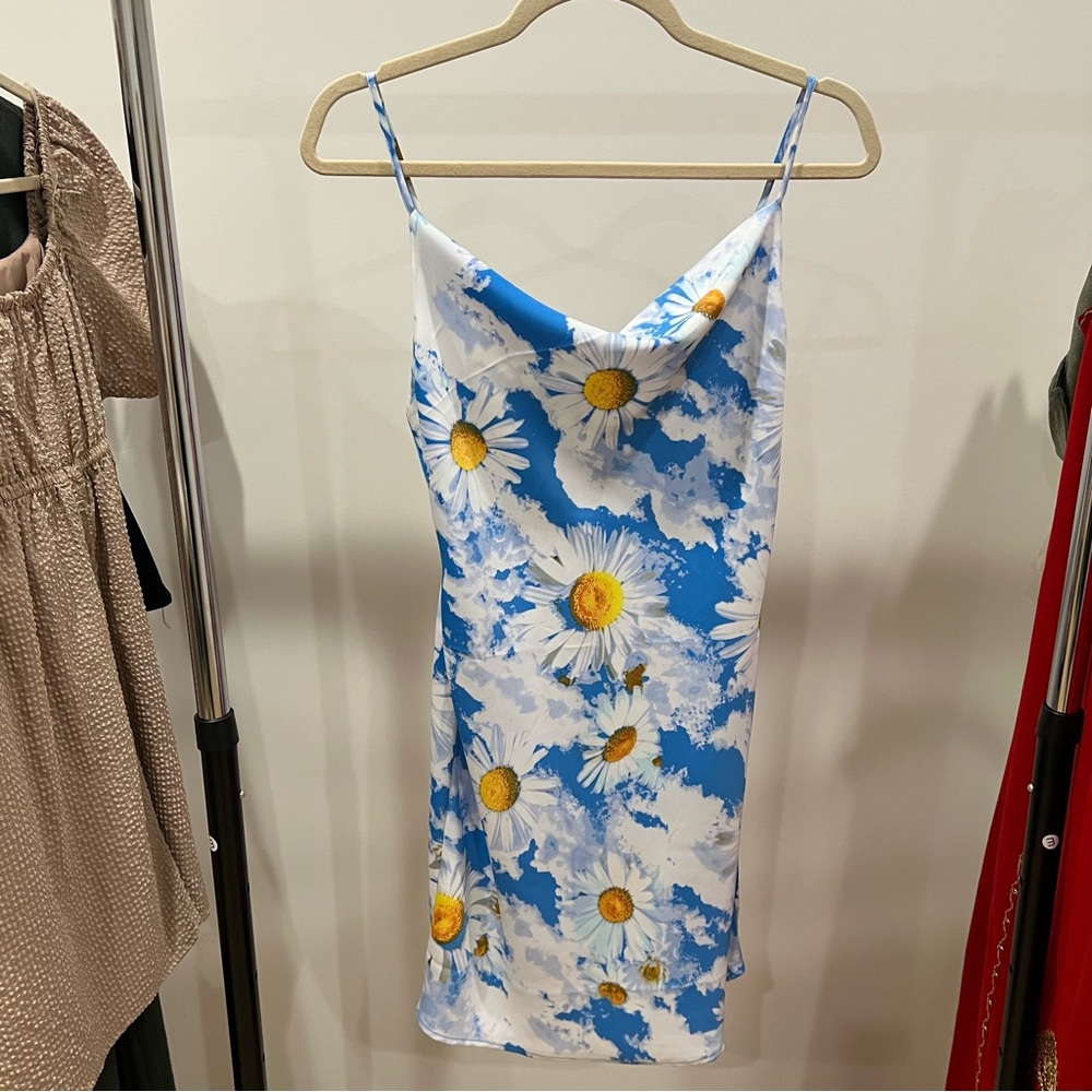 Urban Outfitters Blue and White Daisy-Print Slip Dress